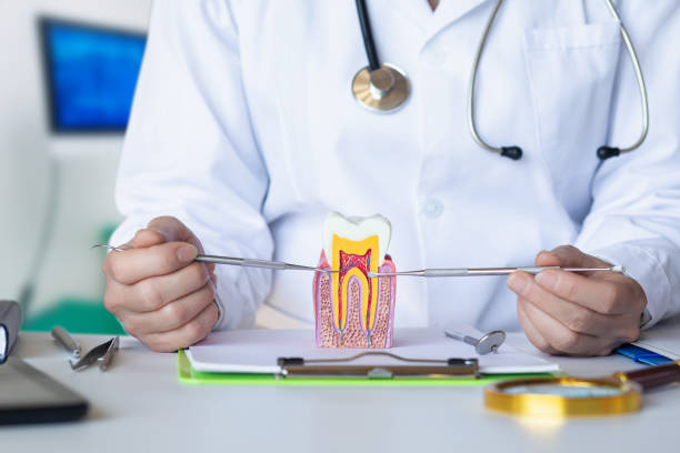 Best Emergency Root Canal Treatment in Ahwahnee, CA